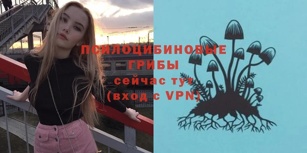 spice Богородицк