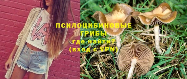 стафф Сатка