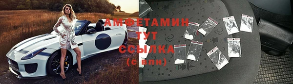 spice Богородицк
