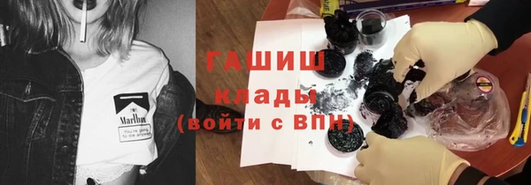 spice Богородицк