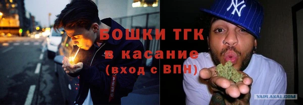 spice Богородицк