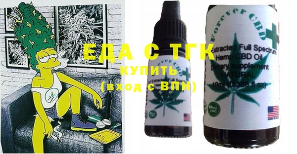 spice Богородицк