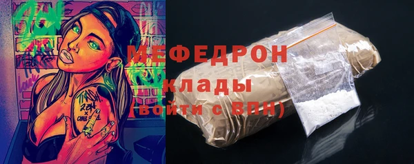 spice Богородицк