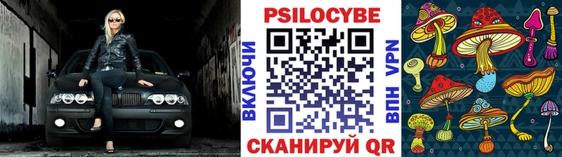Псилоцибиновые грибы Psilocybe  как найти   Велиж 
